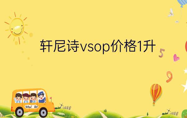 轩尼诗vsop价格1升 - 酒吧轩尼诗vsop多少钱一瓶